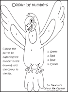 Colour Me Cayman parrot